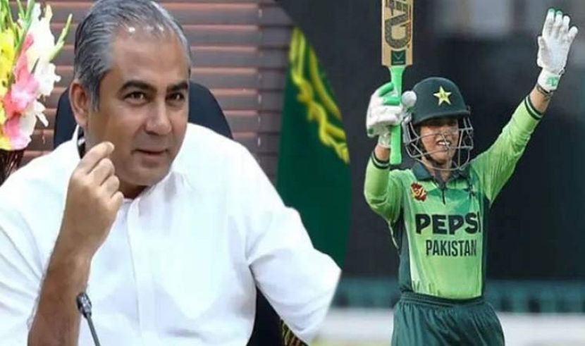 پاکستان شاہینز کی بھارت پر کامیابی قابل فخر ہے،