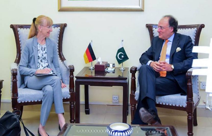 جرمن سفیر اینا لیپل کی وزیر خزانہ سینیٹرمحمد اورنگزیب سے ملاقات