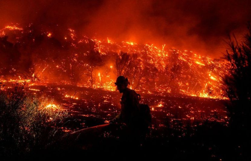 کینیڈا کے جنگلات میں خوفناک آتشزدگی