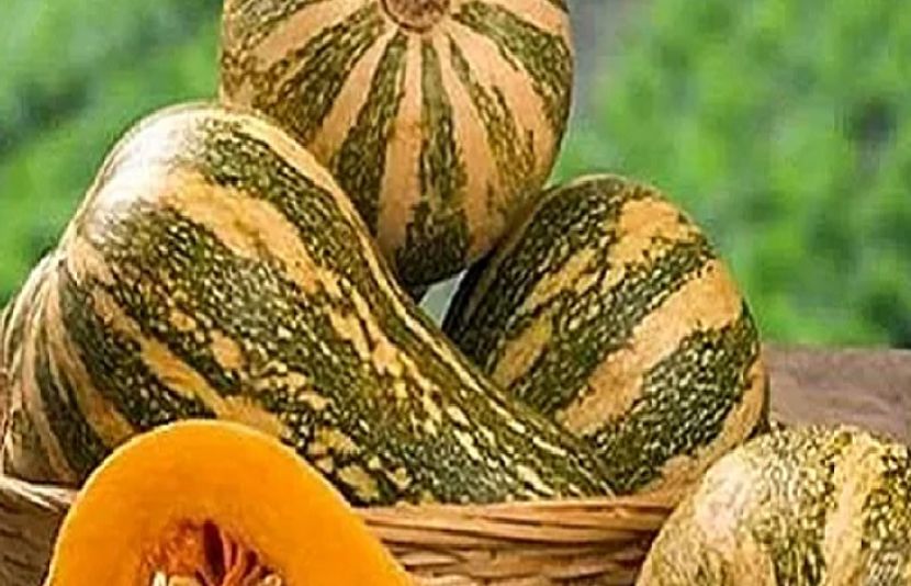 کدّو یعنی لوکی ایک ٹھنڈی غذا ہے