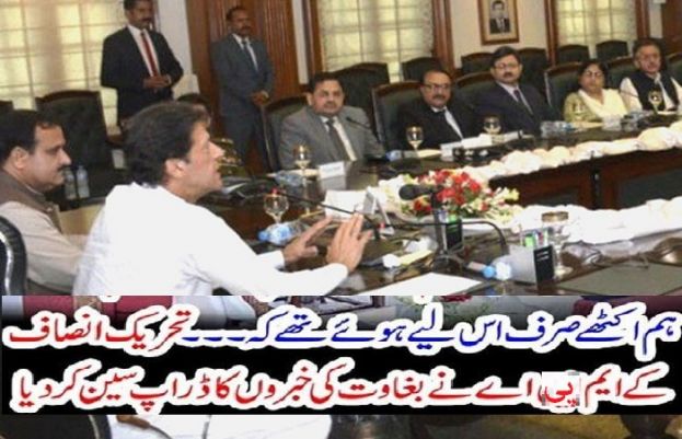 تحریک انصاف کے ناراض گروپ سے وزیر اعظم عمران خان کی ملاقات ہوئی ہے 