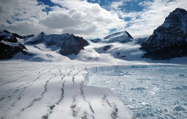 انٹارکٹیکا میں برف پگھلنے کے باعث پنگوئنز کی بقا کو خطرات لاحق