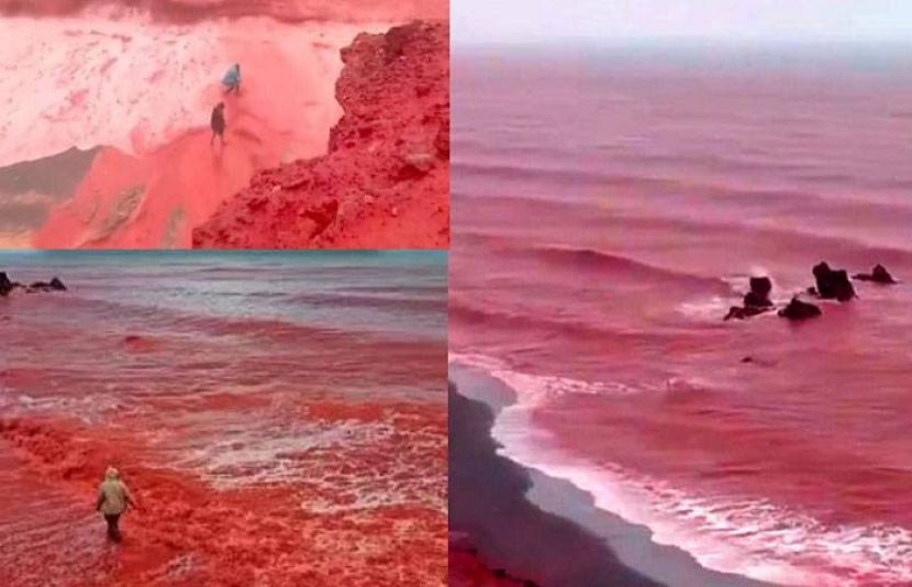 ایران سمندر سرخ