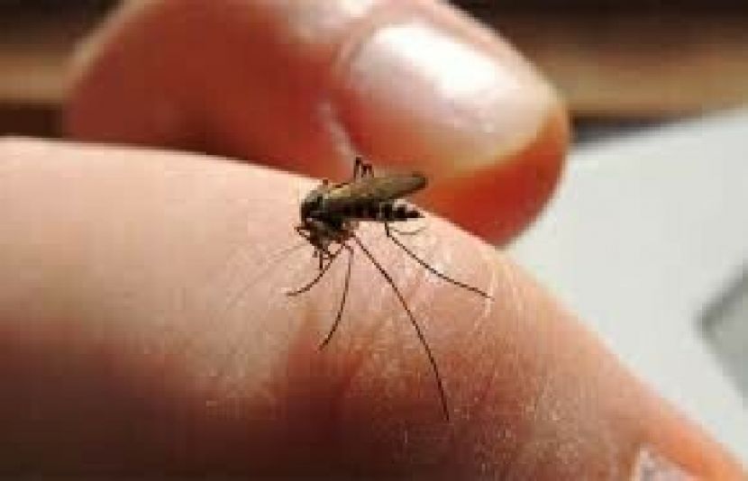 ایک اور بڑی عالمی وبا پھوٹنے کا خطرہ