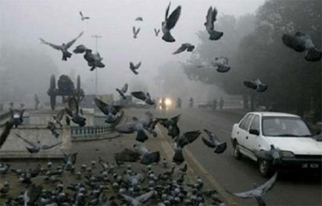 karachi cold weather