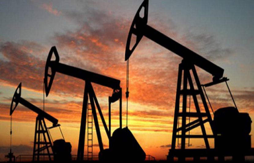 ڈھاریاں ون سے یومیہ 372 بیرل خام تیل ملنے کا تخمینہ لگایا گیا ہے