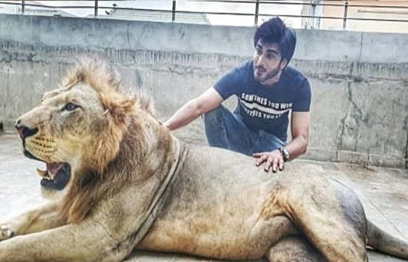 عمران عباس کی خطرناک جانور ببر شیر کے ساتھ تصاویر