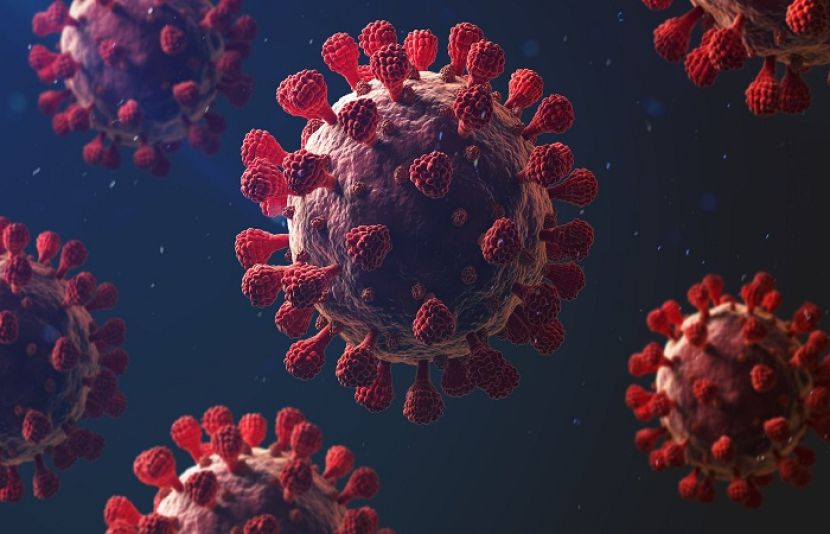 عالمی وبا کورونا وائرس سے مزید40 افراد جاں بحق ہو گئے، مثبت شرح 5.5 فیصد ریکارڈ