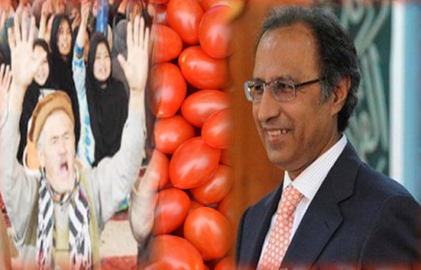 مشیر خزانہ کا ٹمااٹروں کی قیمت پر اپنی رائے کا اظہار