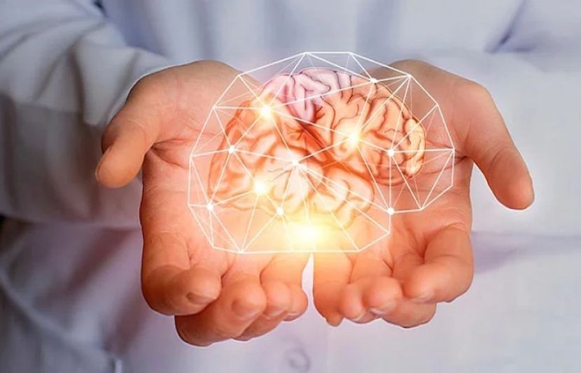 دماغ کو ہر عمر میں جوان رکھنے کا راز کیا ہے؟