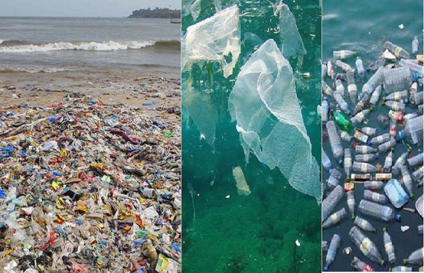آلودگی پھیلانے والے عناصر میں روزمرہ ضروریات زندگی کے طور پر استعمال کیے جانے والے پلاسٹک جانداروں کے لیے خطرہ۔