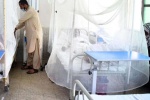 اسلام آباد میں گزشتہ 24 گھنٹوں کےدوران ڈینگی کے کیسزمیں حیران کن اضافہ