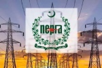 نیپرا نے بجلی صارفین کیلیے بڑی خوشخبری سنا دی