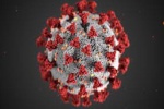 کورونا وائرس کی چھٹی لہر کا خطرہ
