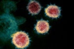 جانوروں سے انسانوں میں مہلک وائرس پھیلنے کا خدشہ، ماہرین نے خبردار کردیا