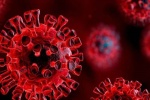 ماہرین نے کورونا وائرس کے خاتمے کے متعلق اہم انکشاف کر دیا